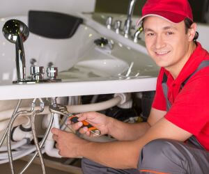 About Plumbers Pros Red Valley, AZ